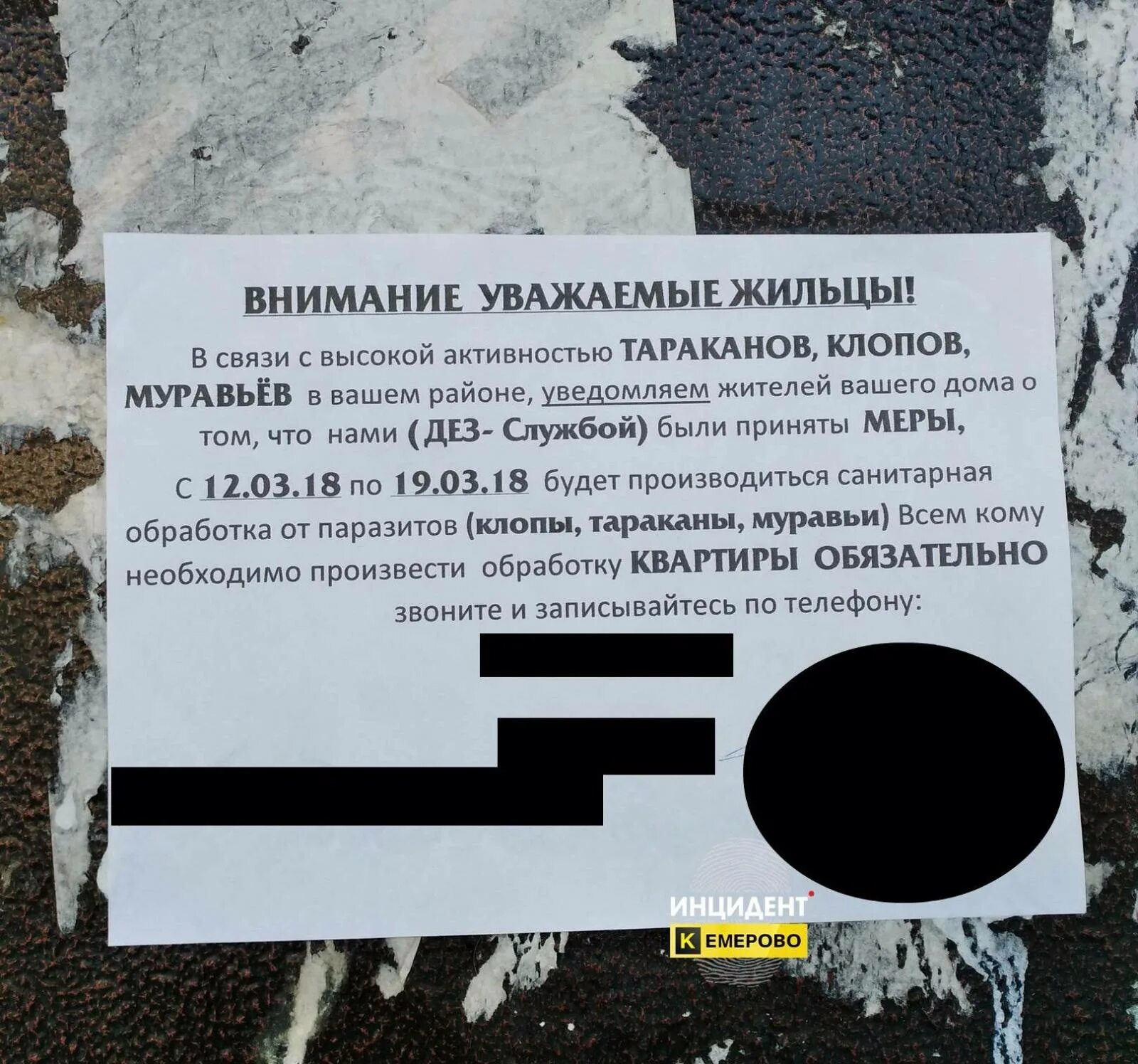 Травит сосед что делать. Объявление о проведении дезинфекции в подъездах. объявление соседям о тараканах. объявление по травле тараканов в подъезде. объявление о травле тараканов соседям.
