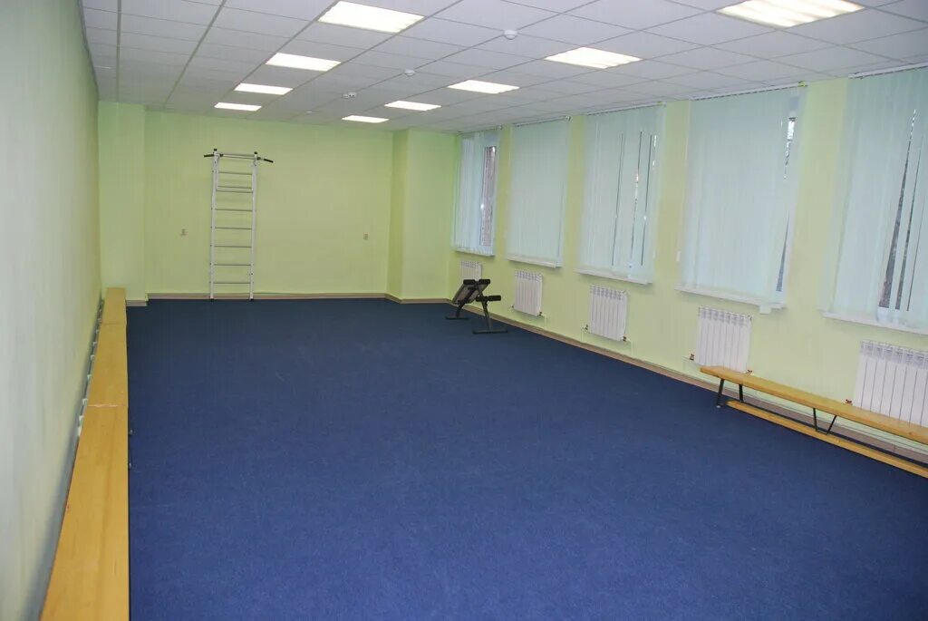 Школа спортивного резерва воронеж. Спутник школа олимпийского резерва красноярск. Спортивная школа паралимпийского резерва воронеж. Сшор 33 воронеж. Спортивная школа олимпийского резерва 2 воронеж.