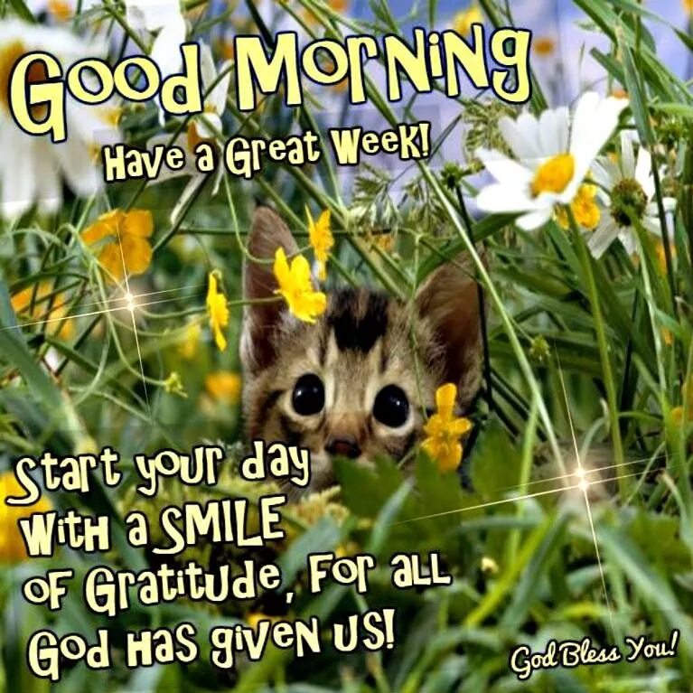 Good morning have a great week. Good morning have a great Day. Have a great Day and week. Have a great week