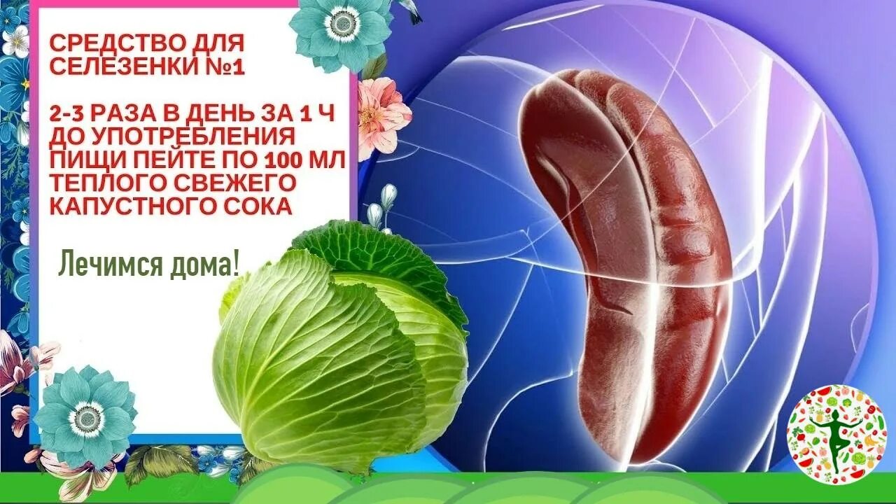 Селезенка народная