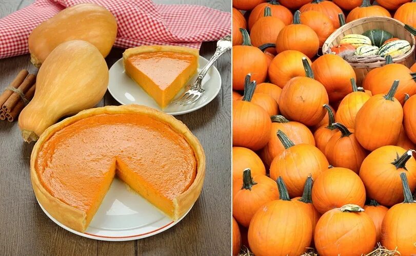 Кухня наизнанку простой рецепт из тыквы. Фулто с тыквой и орехами. кухня наизнанку тыква. кухня наизнанку выпечка с тыквой. торговый дом михайловский пирог с тыквой.