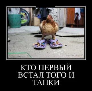 Ни один не встал