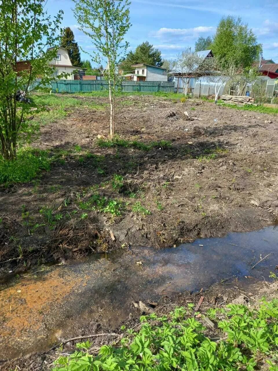 село частое тульской области. деревня чаща. дер нестерково гатчинский район. участок в чаще. панорама двора.