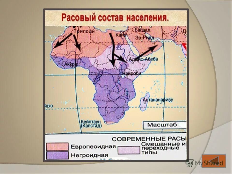 Половозрастной состав алжира. Религиозный состав африки. Расовый состав алжира. Национальный состав северной африки. Расовый и этнический состав африки.