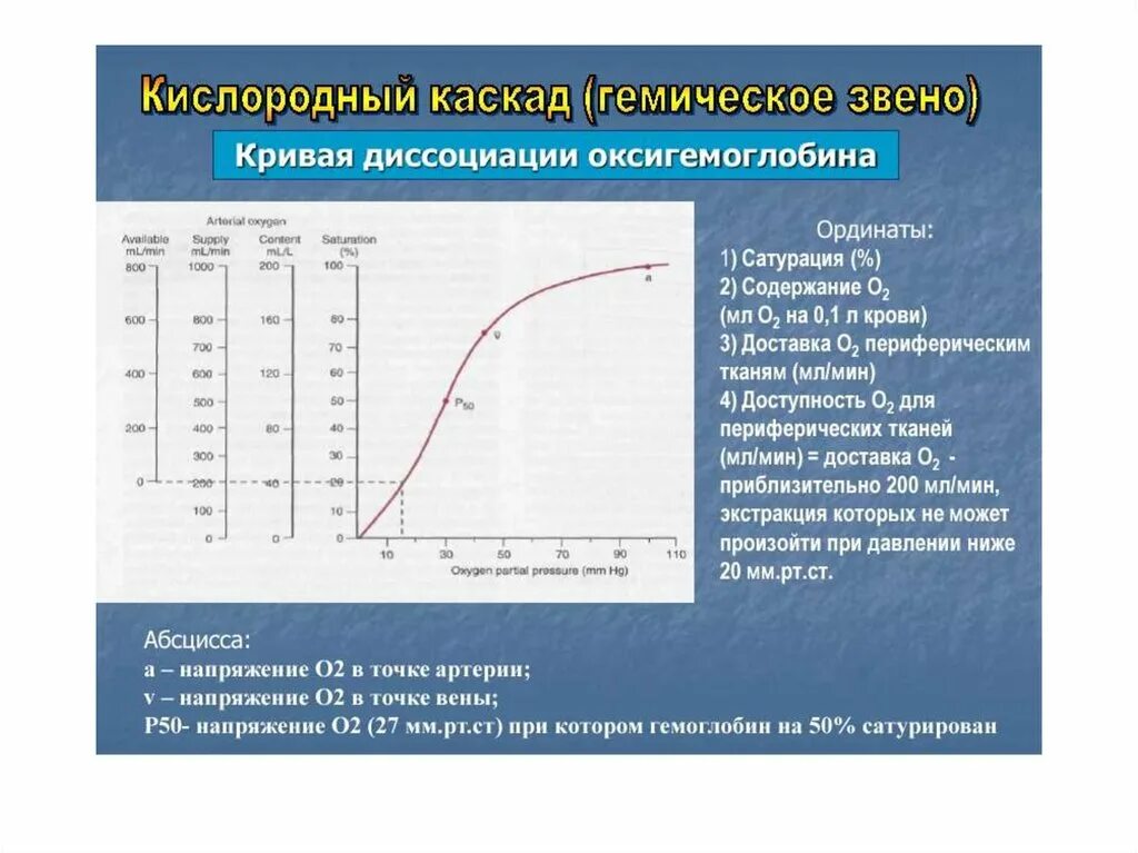 Кривая диссоциации оксигемоглобина. Содердан е оусигесоглоьига в артериальноц крови. Кривые диссоциации оксигемоглобина. Сдвиг Кривой диссоциации оксигемоглобина.