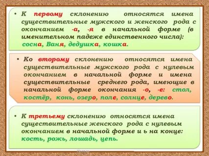Существительное неодушевленное собственное единственного числа