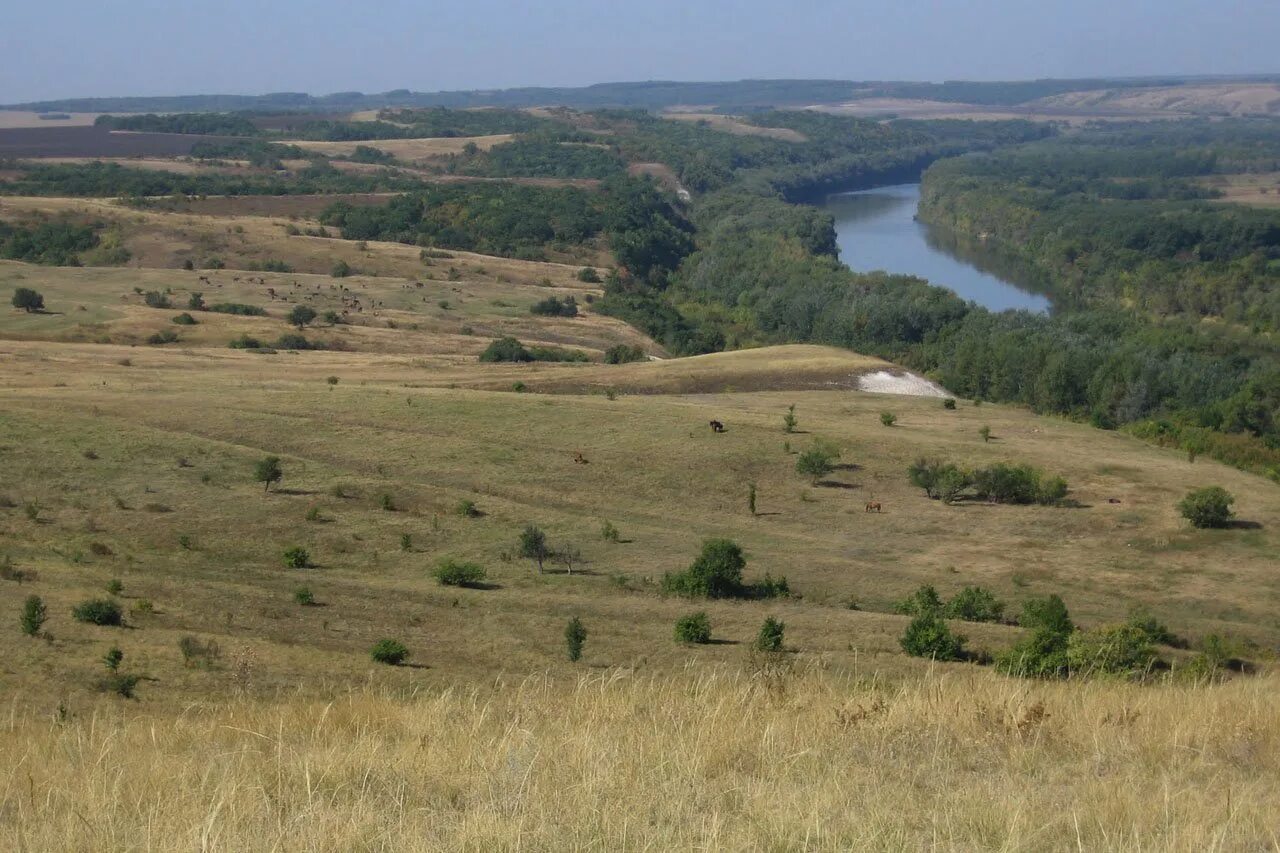 Погода в кумылженской х белогорский. Ст кумылженская в фотографиях. Погода в кумылженской х белогорский. Погода в кумылженской х белогорский. Погода в кумылженской х белогорский.
