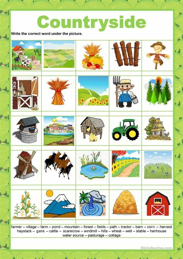 People in the countryside. Countryside activities. Countryside vocabulary. Countryside activities. Картинки to describe.