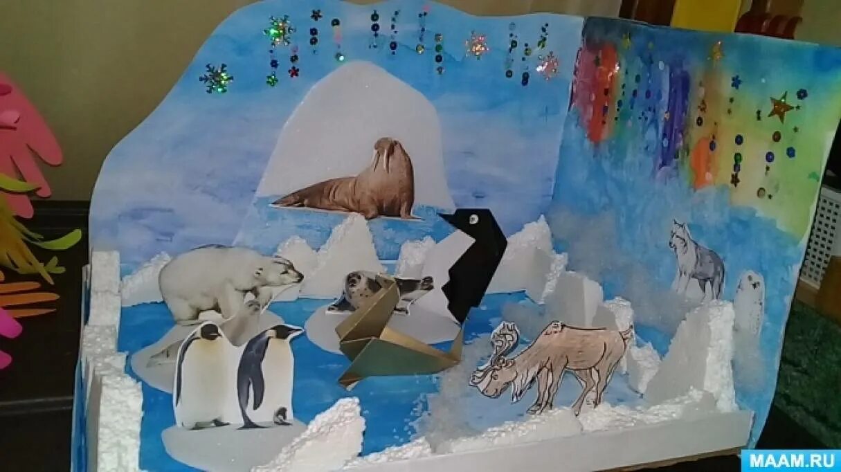 Познавательное развитие животные севера. Живот ные холшодных стран. Живот ные холшодных стран. Животные севера для дошкольников. Иллюстрации животных севера.