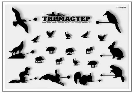 Тир мастер