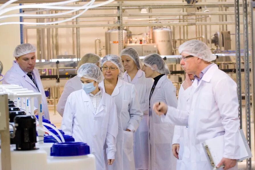 Безопасность пищевых продуктов. Технолог молока и молочных продуктов. Аудит пищевого производства. Инженер технолог пищевого производства. Контроль пищевой продукции.