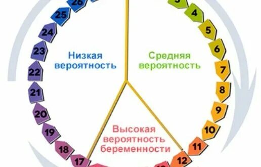 Вероятность забеременеть без овуляции. Низкая вероятность забеременеть. Высокая вероятность забеременеть. Вероятность забеременеть по дням. Беременность цикл вероятность.