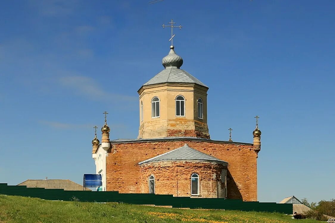 Колыбелка воронежская