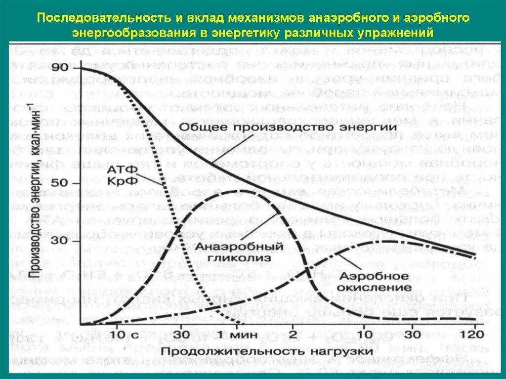 Энергетическая подготовка