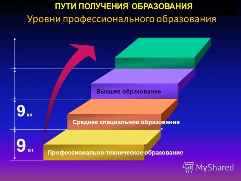 Высшее образование курсовая работа