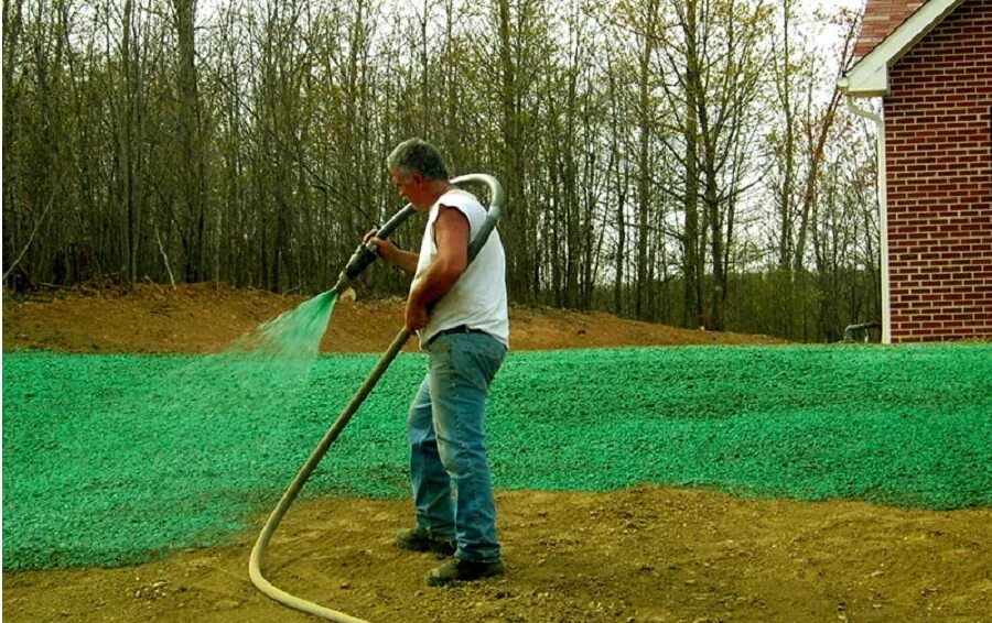 Можно ли в зиму сеять газонную траву