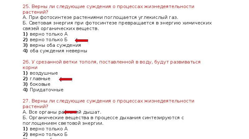Верны ли следующие о вирусах. Верны ли следующие суждения о процессах жизнедеятельности. верны ли следующие суждения о растениях. верны ли следующие суждения о процессах жизнедеятельности растений. суждения о процессах жизнедеятельности растений.