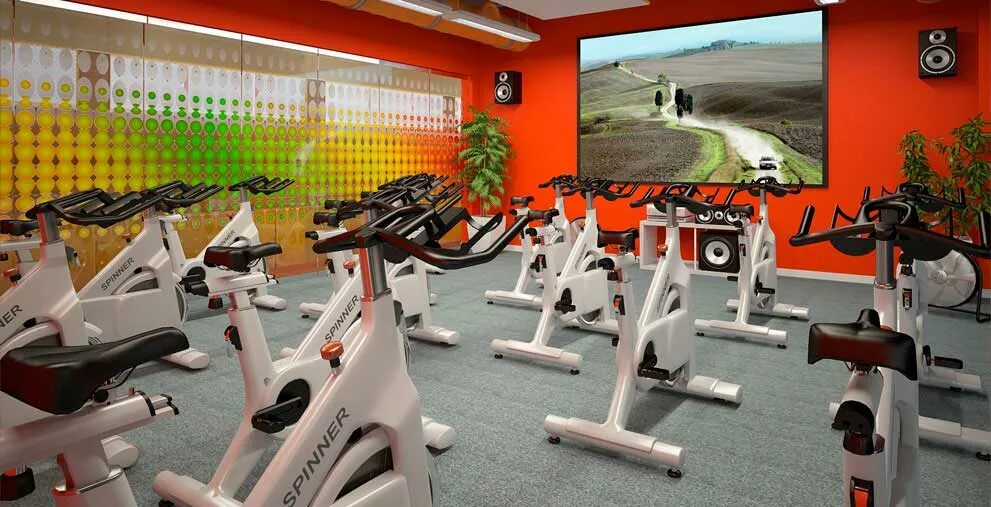 Цитрус фитнес молдавская ул. Цитрус фитнес челябинск. citrus fitness club челябинск. цитрус спортзал чебоксары. цитрус зал челябинск.