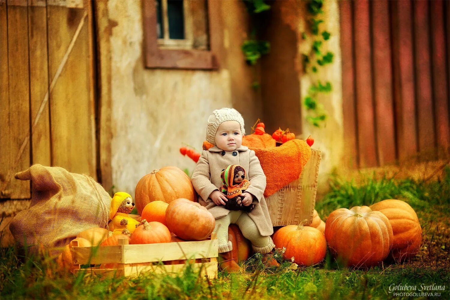 Счастливые дети в деревне. Сбор урожая. Бабушка в деревне. Осенний урожай. Дети с полевыми цветами.