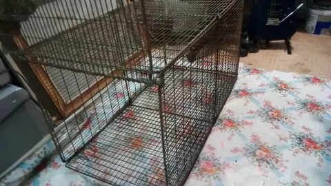 Как поймать в клетку