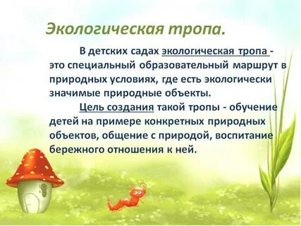 Экологический проект с родителями