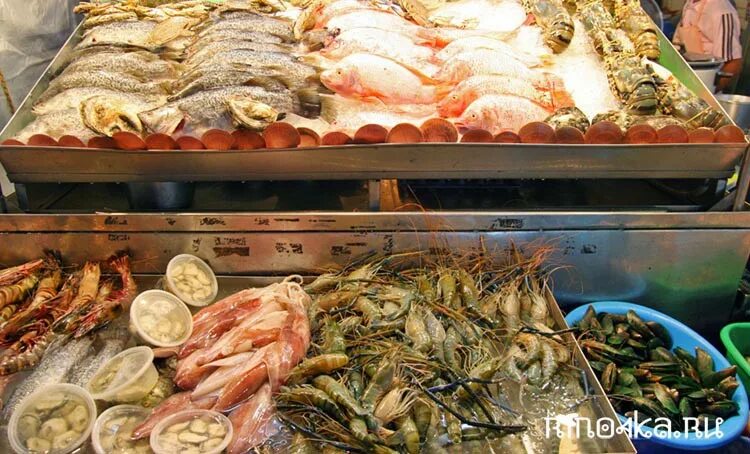 Рыбный рынок хиккадува. Рыбный рынок в паттайе. ночной рынок паттайя морепродукты. рыбный рынок паттайя ночной. pattaya rybniy rinok.