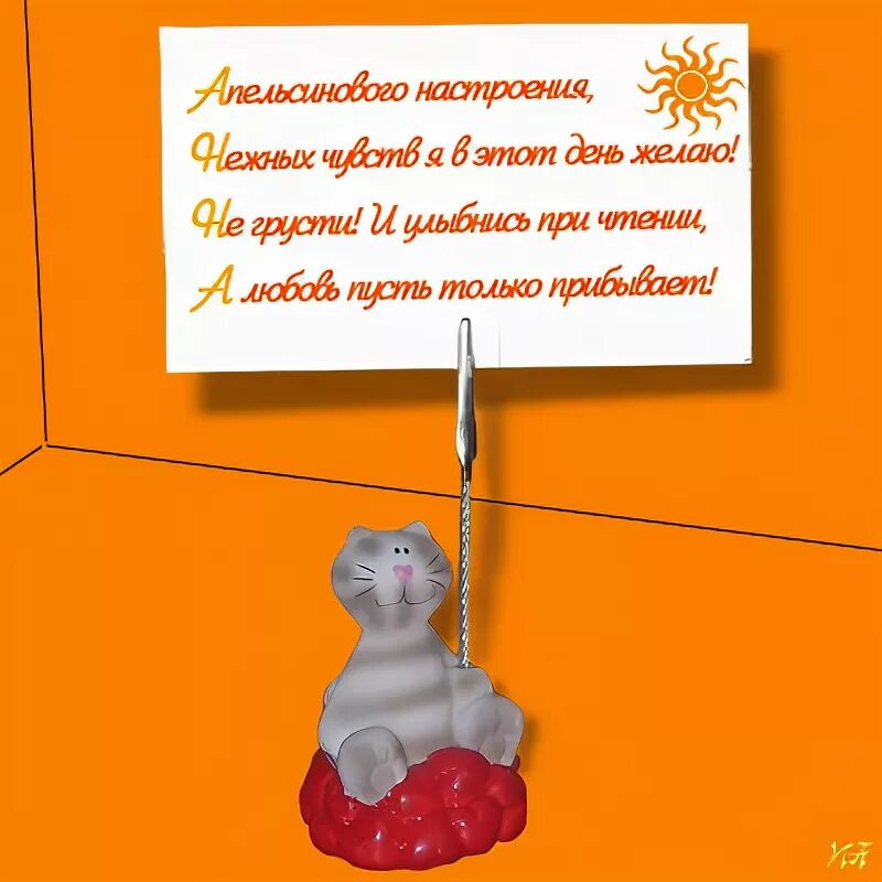 Анюта коротких. Аня чиповская. Короткий ане. Стишок про анечку. Аня чиповская стрижка.