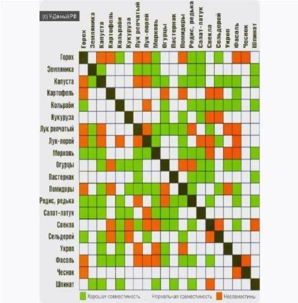 Совместимость плодовых деревьев и кустарников в саду таблица. Соседство плодовых деревьев и кустарников на участке таблица. Таблица совместимости посадки плодовых деревьев. Таблица соседства плодовых деревьев.