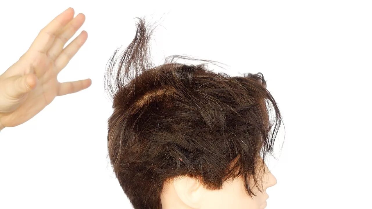 Как приучить волосы лежать. Прическа a la mouton. фраме тамер волосы. frame tamer прическа. tame my hair.