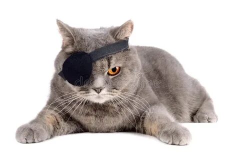Кличка одноглазому коту