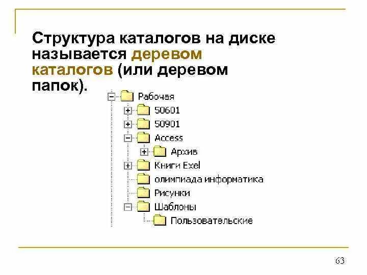 Папка каталоги дерево каталогов. Дерево каталогов. Дерево папок. Структура папок. Структура каталогов.