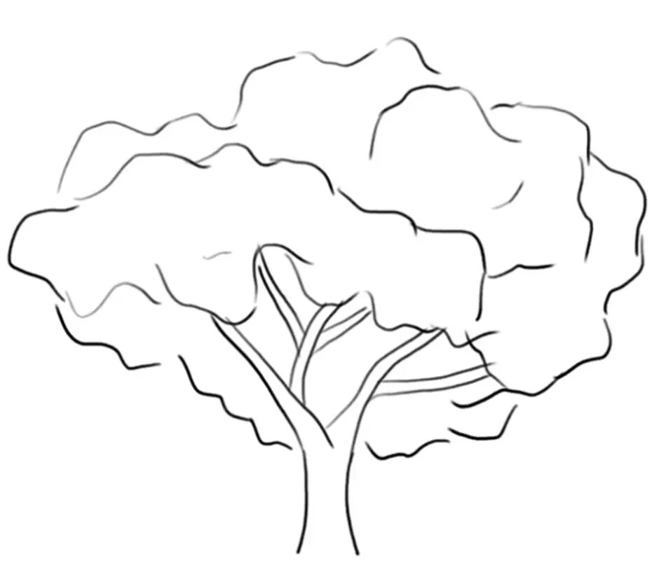 Рисунок дерева 6 класс изо. Дерево для рисования. дерево карандашом. дерево рисунок карандашом. дерево для срисовки легко.