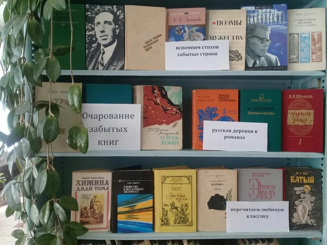 Название книжной выставки. Книжная выставка о книгах. Выставка забытых книг в библиотеке. Книжная выставка очарование забытых книг в библиотеке.