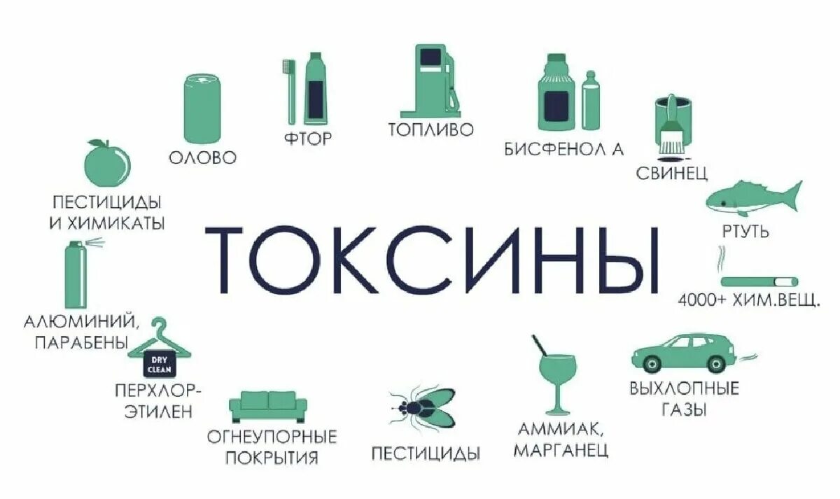 Специфические симптомы. Жировая ткань накапливает токсины. Токсины в организме. Жировая ткань накапливает токсины. Бактерии в человеке.