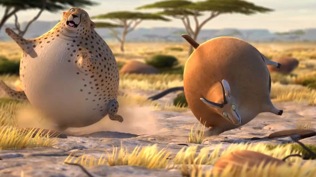 Про круглых животных. Круглые животные. Круглые животные. Круглые звери. Шарообразные животные.