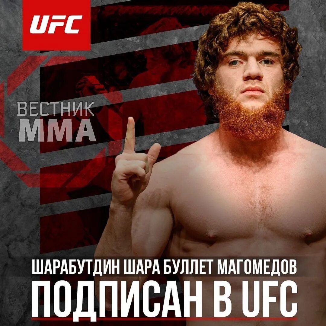 Буллет юфс. Буллет юфс