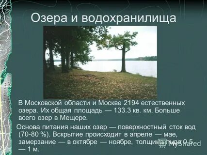 Темы московская область