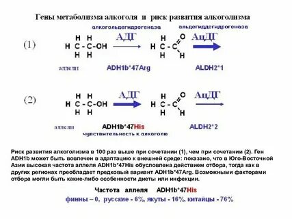Гену ответь