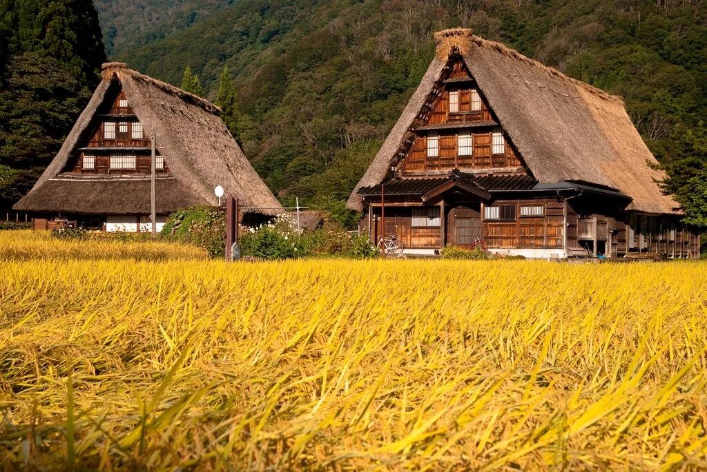 Japanese village. Деревня Гокаяма в Японии. Деревня Сиракава в Японии. Гассё-дзукури Гокаяма. Гассё-дзукури в Японии.