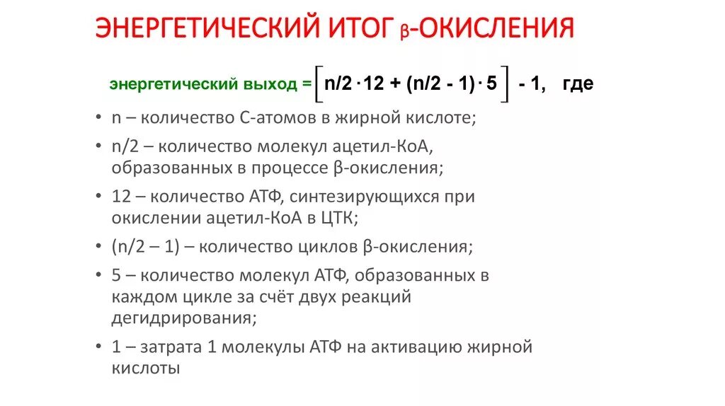 Энергетический выход при окислении жирных кислот. Выход молекул АТФ при полном окислении. Энергетическая эффективность одного оборота β-окисления. Энергетический итог реакции.