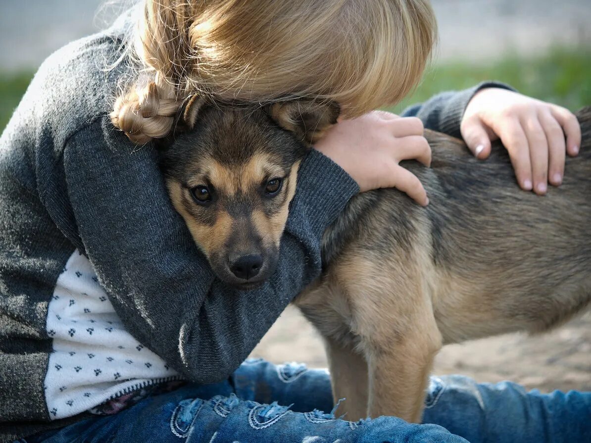 Милосердие к животным. Сострадание к животным. Сопереживание животным. Жалость к животным.