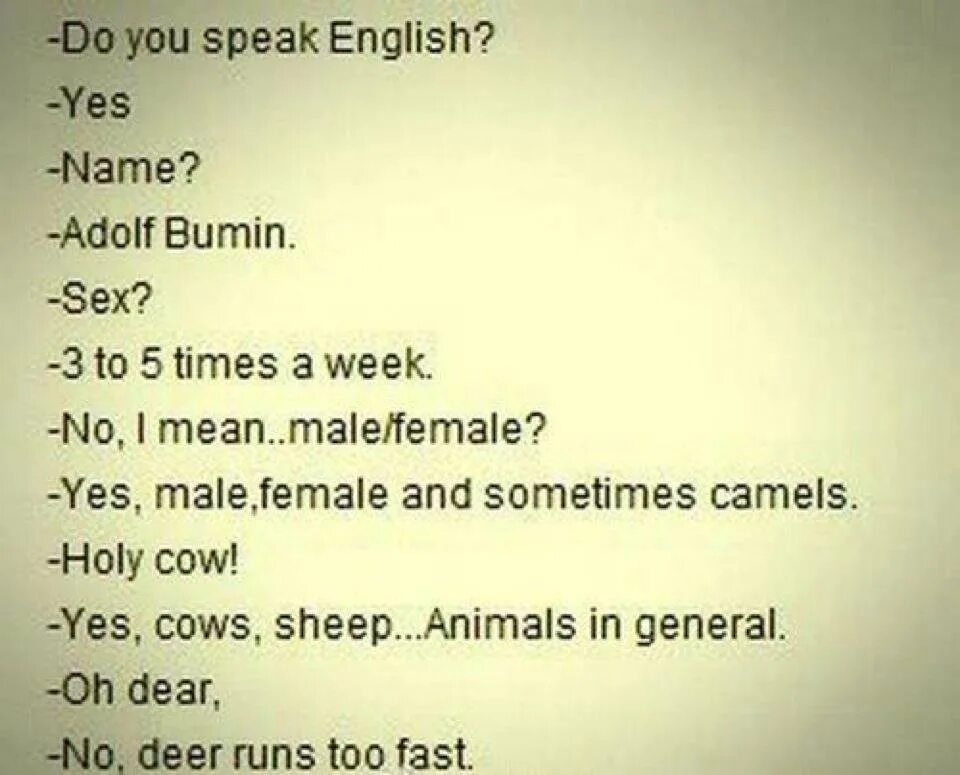 I want you to speak english. I do speak english перевод. We speak english. I do speak english перевод. Speak english gif.