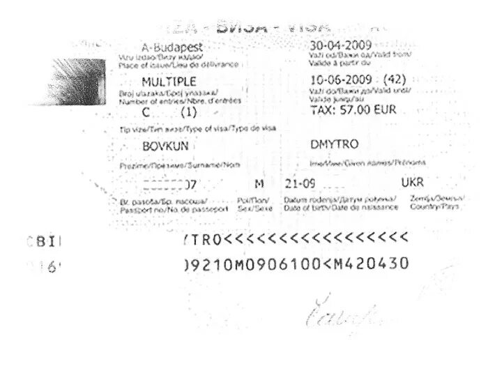 Ирландская виза. Паспорт боснии и герцеговины. Виза паспорт узбекистана. Босния и герцеговина виза. И герцеговина виза.