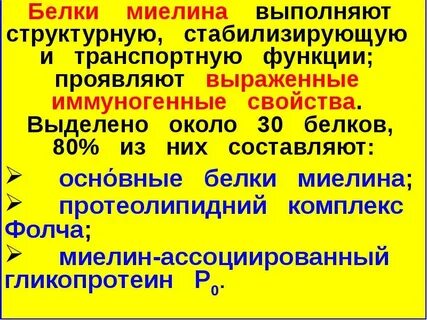 Основные белки миелина