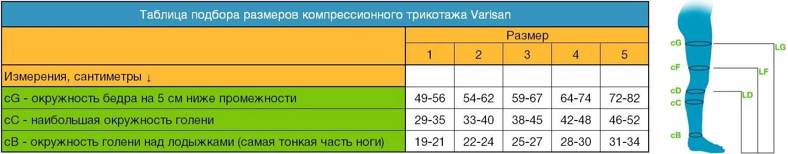 Компрессия второго класса. Компрессионные чулки 23-32 мм таблица размеров ergoforma. размерная сетка компрессионных чулков ergoforma. размерная сетка компрессионных чулков 2 класса ergoforma. чулки компрессионные 2 класс компрессии эргоформа размеры.