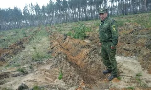 Красноярское участковое лесничество