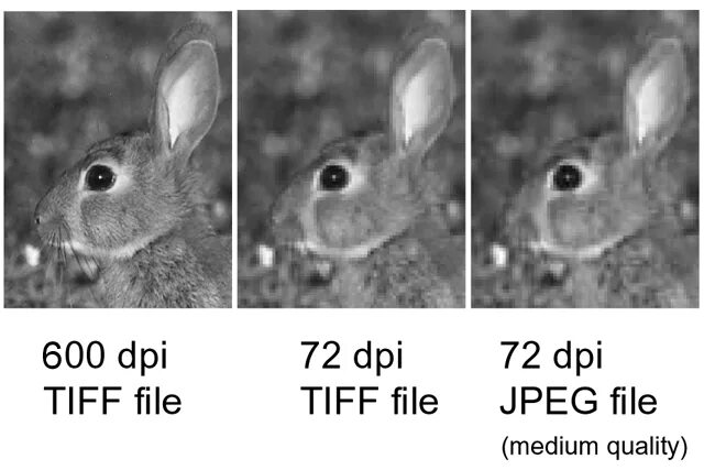 600 dpi какое разрешение. Разрешение 600 dpi. Изображение 600 dpi. Качество изображения для печати. Качество печати dpi.