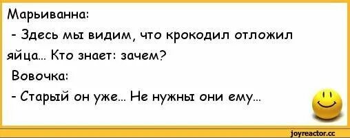 Анекдот 2023 смешной без мата. Анекдоты про Вовочку смешные без мата. Смешные анекдоты про Вовочку с матом. Анекдоты про Вовочку самые смешные до слез без мата. Анекдоты без матов и пошлости про Вовочку.