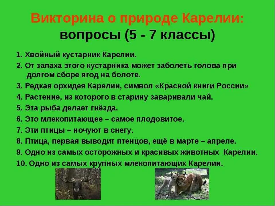 Тесты о природе и животных. Вопросы о природе для детей. вопросы для викторины про животных. вопросы про природу. вопросы про природу с ответами для викторины.