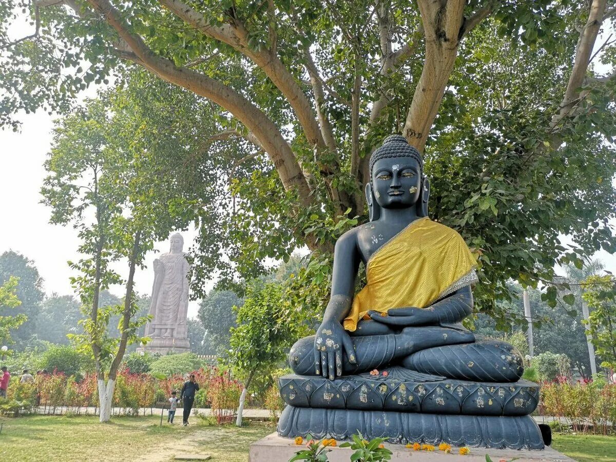Проповедь будды. Статуя Будды Бодхгая. Будда Шакьямуни Сарнатх. Сарнатх Олений парк. Сарнатх Индия.
